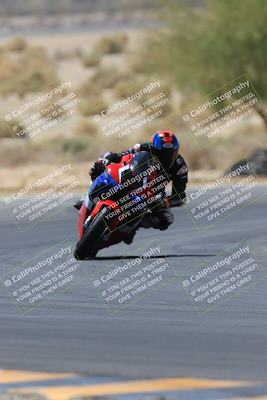 media/May-14-2023-SoCal Trackdays (Sun) [[024eb53b40]]/Turn 5 Tree of Life (1125am)/